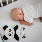 Hračka pro miminka Panda Polly | Babyono 1558