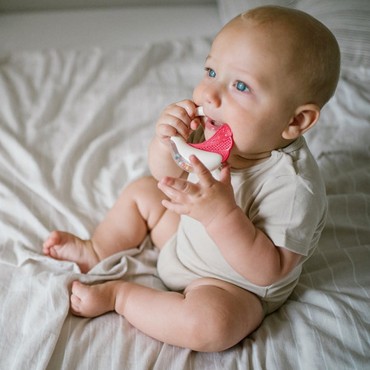 Chrastítko s kousátkem | BabyOno  1593