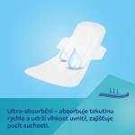 Poporodní vložky s křidélky denní 10 ks 78/007 - Canpol babies